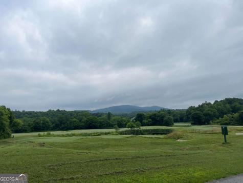 Lot 117 Owen Glen Drive Blairsville GA 30512