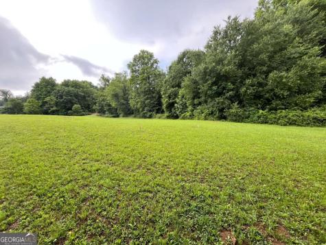 Lot 117 Owen Glen Drive Blairsville GA 30512