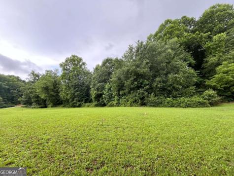 Lot 117 Owen Glen Drive Blairsville GA 30512