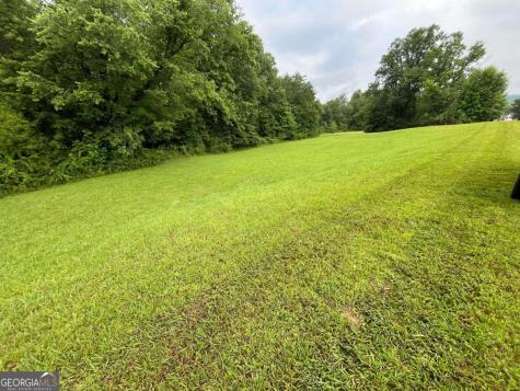 Lot 117 Owen Glen Drive Blairsville GA 30512