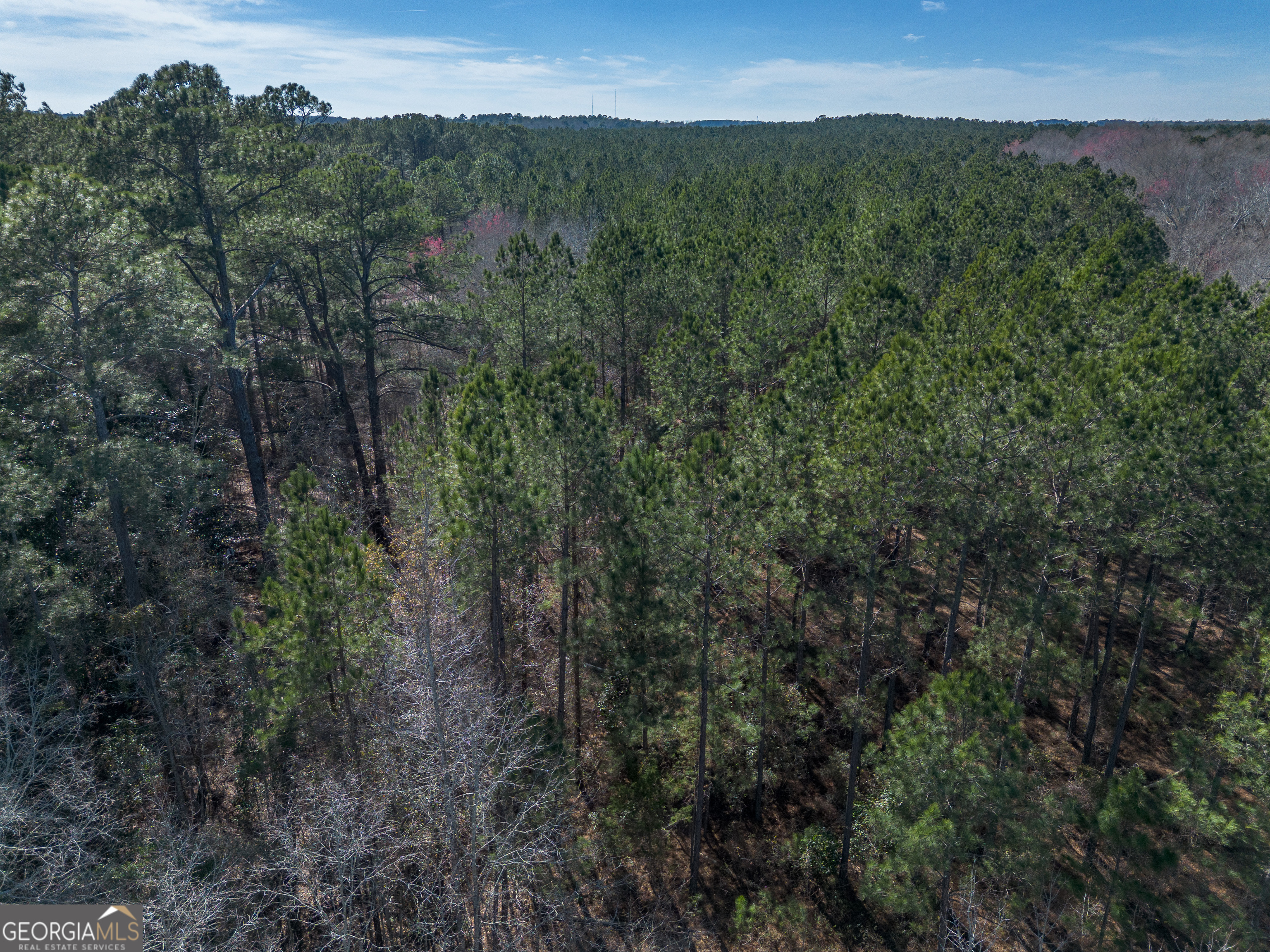 Lot 6 Golf Course Road Eastman GA 31023