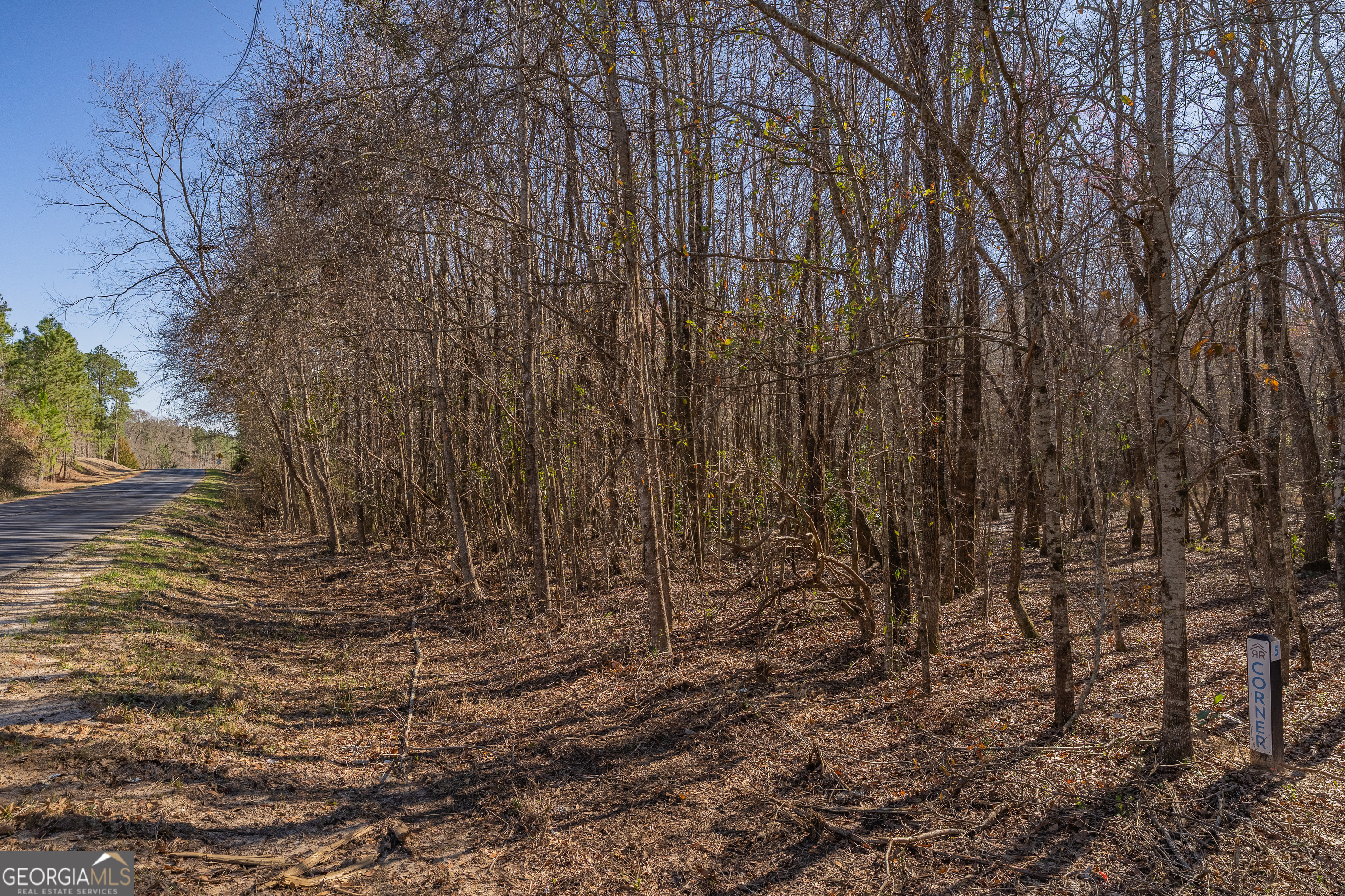 Lot 6 Golf Course Road Eastman GA 31023