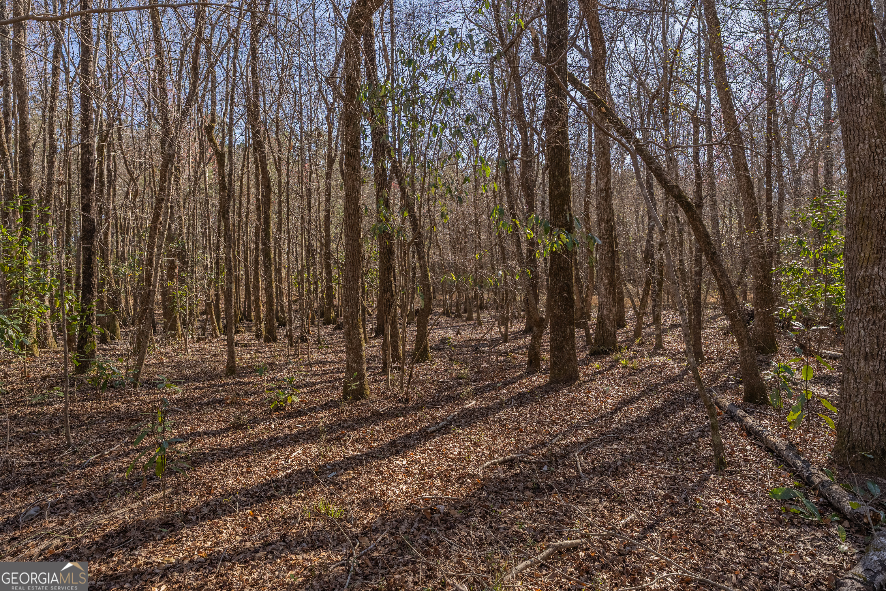 Lot 6 Golf Course Road Eastman GA 31023