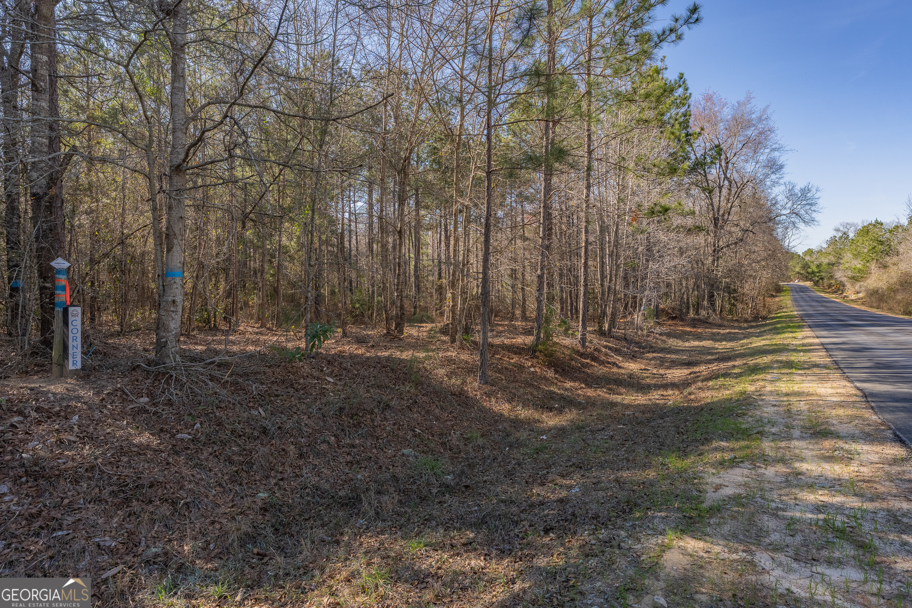 Lot 6 Golf Course Road Eastman GA 31023