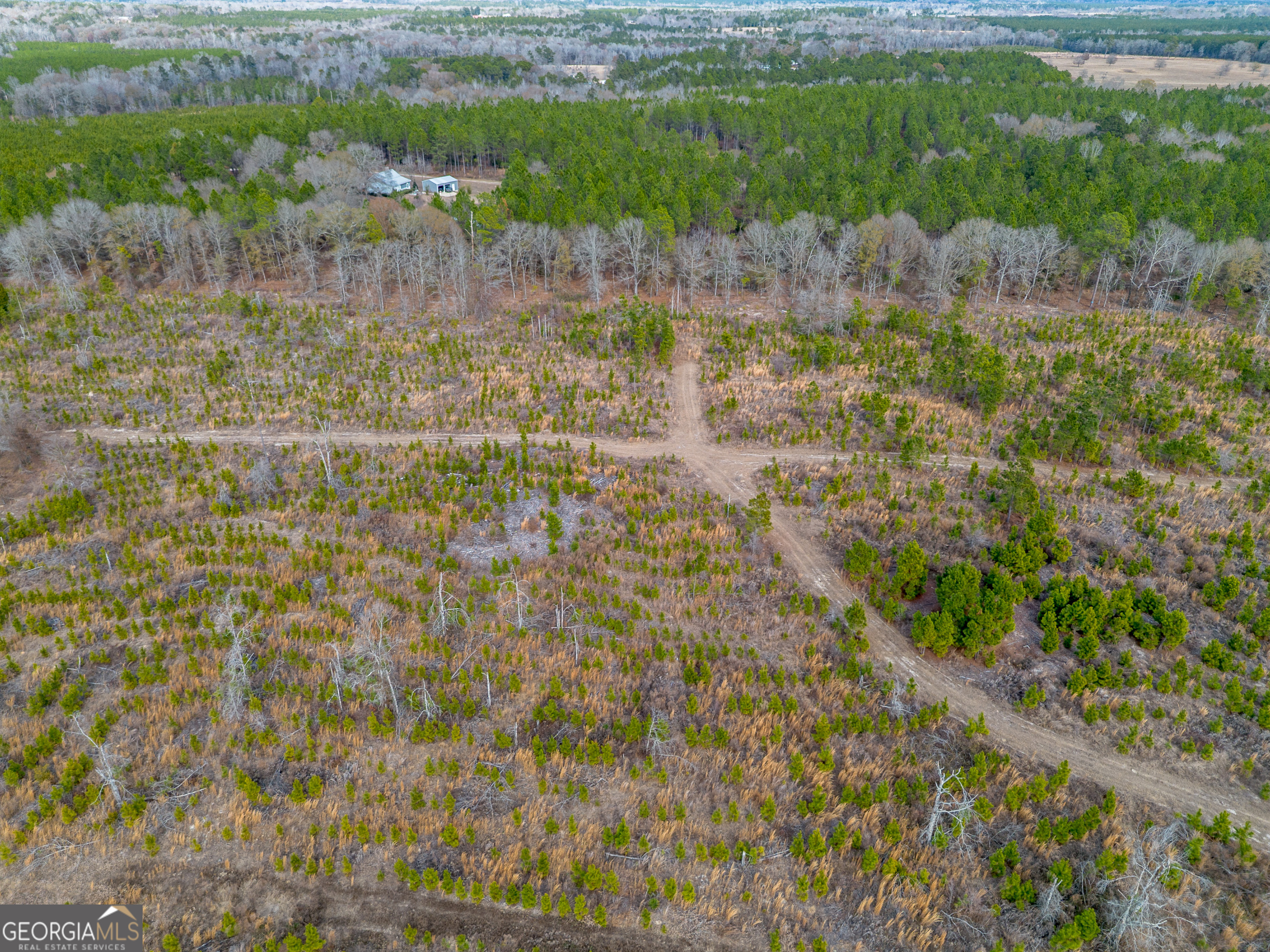 Tract 2 Bell Line Road Eastman GA 31023