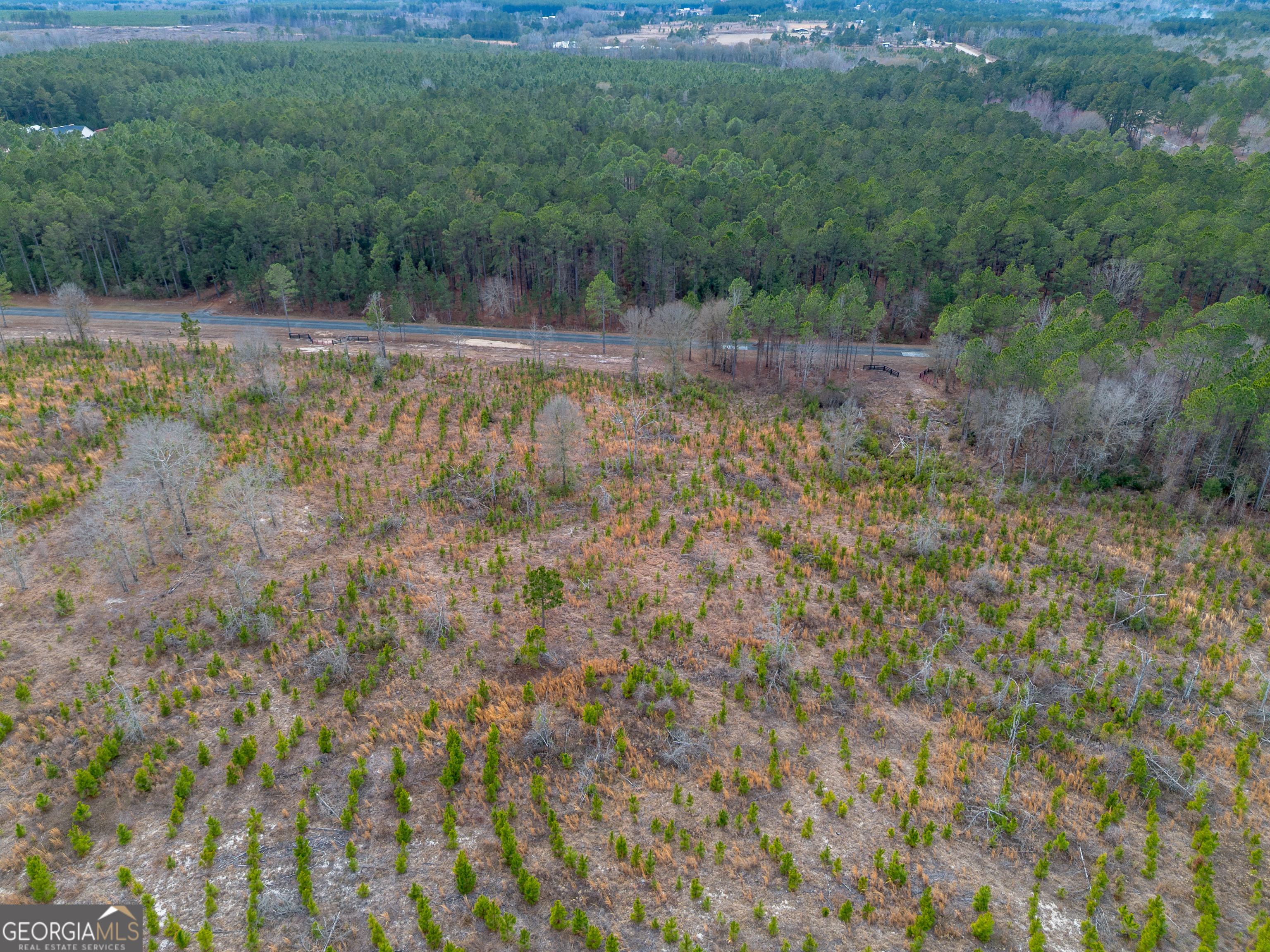 Tract 2 Bell Line Road Eastman GA 31023