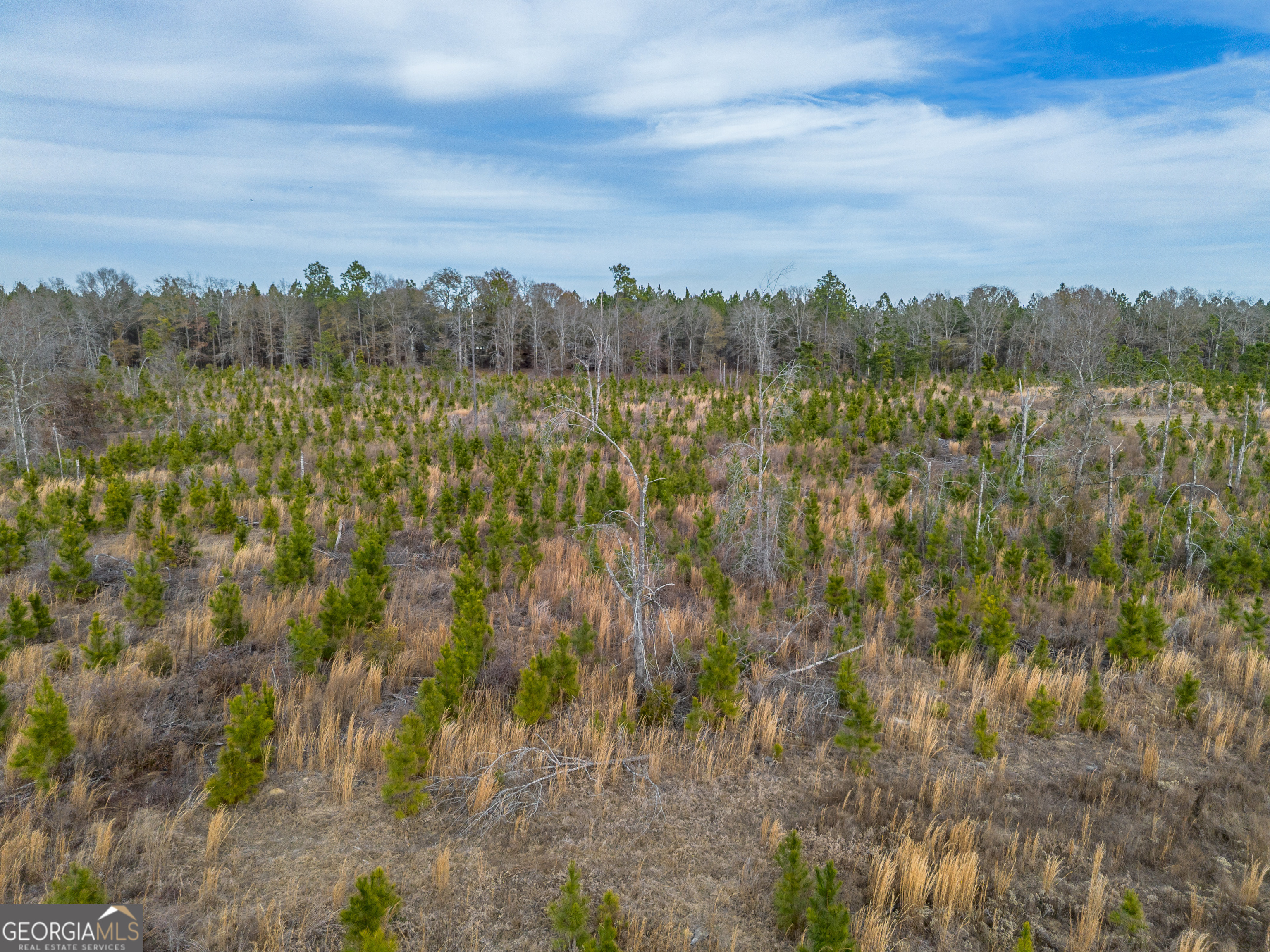Tract 2 Bell Line Road Eastman GA 31023