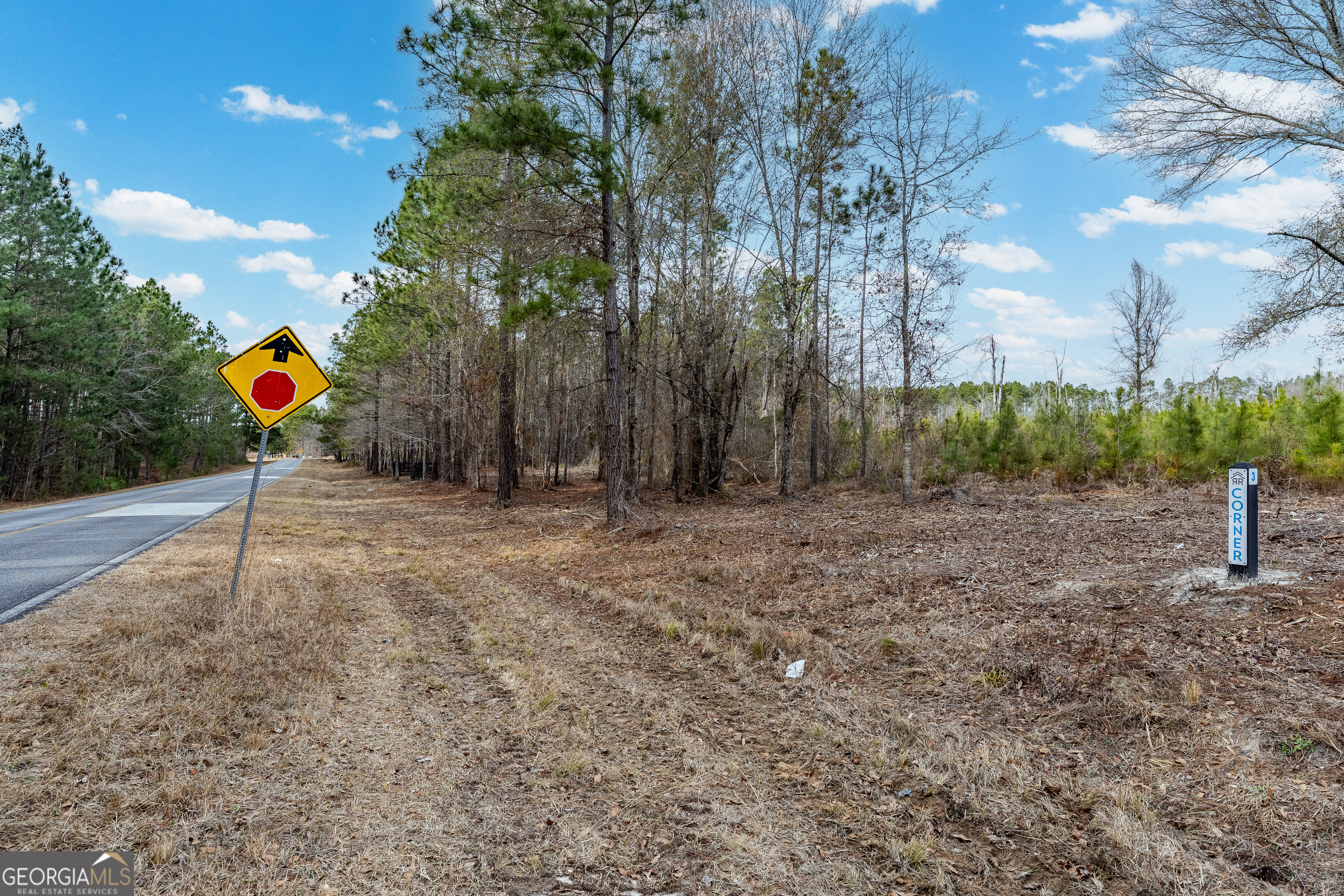 Tract 2 Bell Line Road Eastman GA 31023