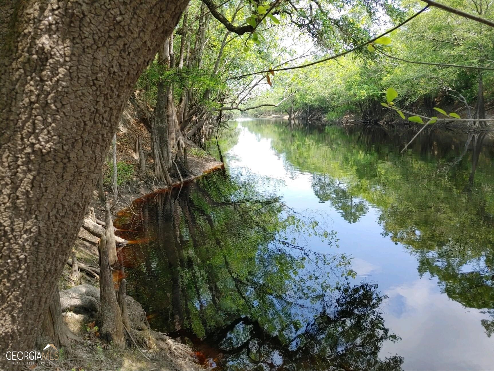 Lot 1 Baker Blvd/cr 4 St. George GA 31562