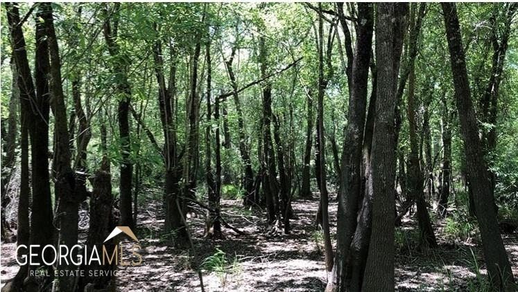 Lot 1 Baker Blvd/cr 4 St. George GA 31562
