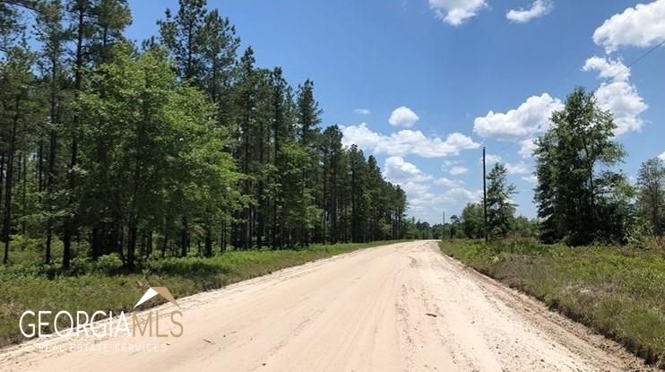 Lot 1 Baker Blvd/cr 4 St. George GA 31562