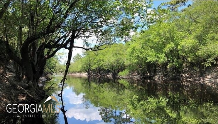 Lot 1 Baker Blvd/cr 4 St. George GA 31562