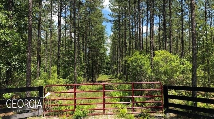 Lot 1 Baker Blvd/cr 4 St. George GA 31562