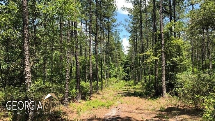 Lot 1 Baker Blvd/cr 4 St. George GA 31562