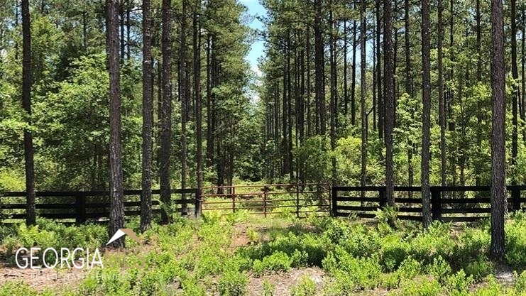 Lot 1 Baker Blvd/cr 4 St. George GA 31562