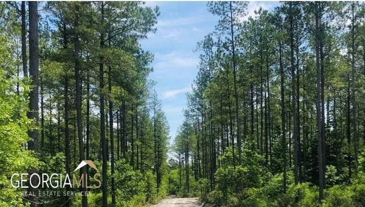 Lot 1 Baker Blvd/cr 4 St. George GA 31562