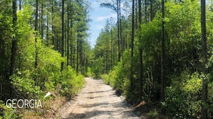 Lot 1 Baker Blvd/cr 4 St. George GA 31562