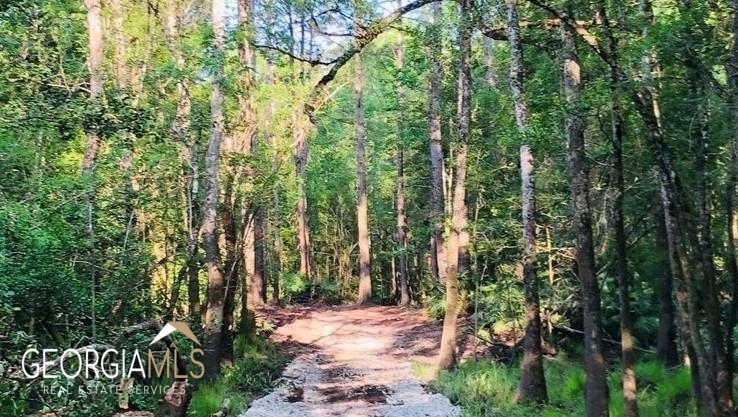 Lot 1 Baker Blvd/cr 4 St. George GA 31562