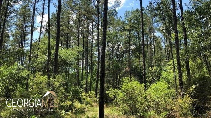 Lot 1 Baker Blvd/cr 4 St. George GA 31562