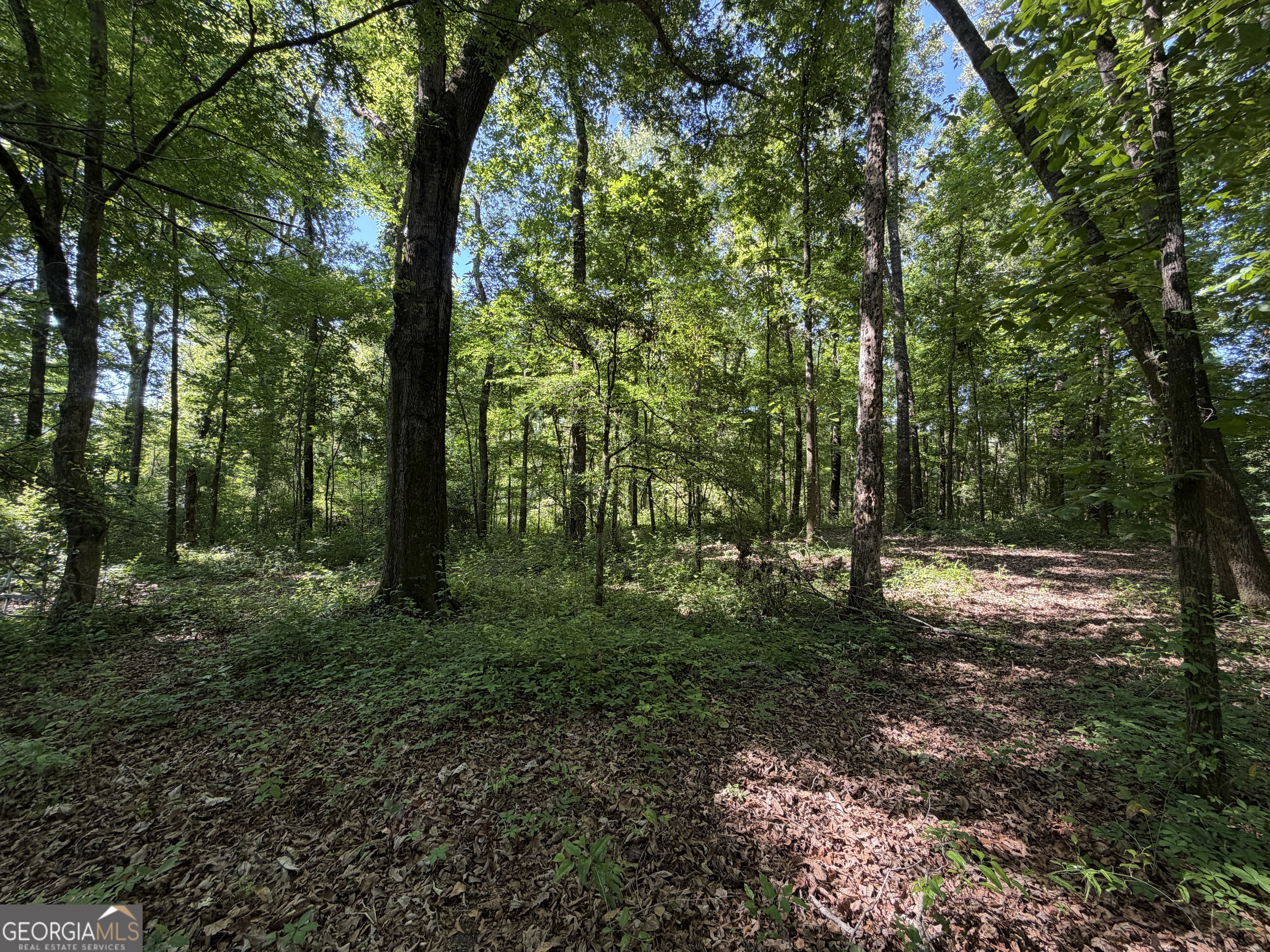 1.49 Acres Ann Drive Lizella GA 31052