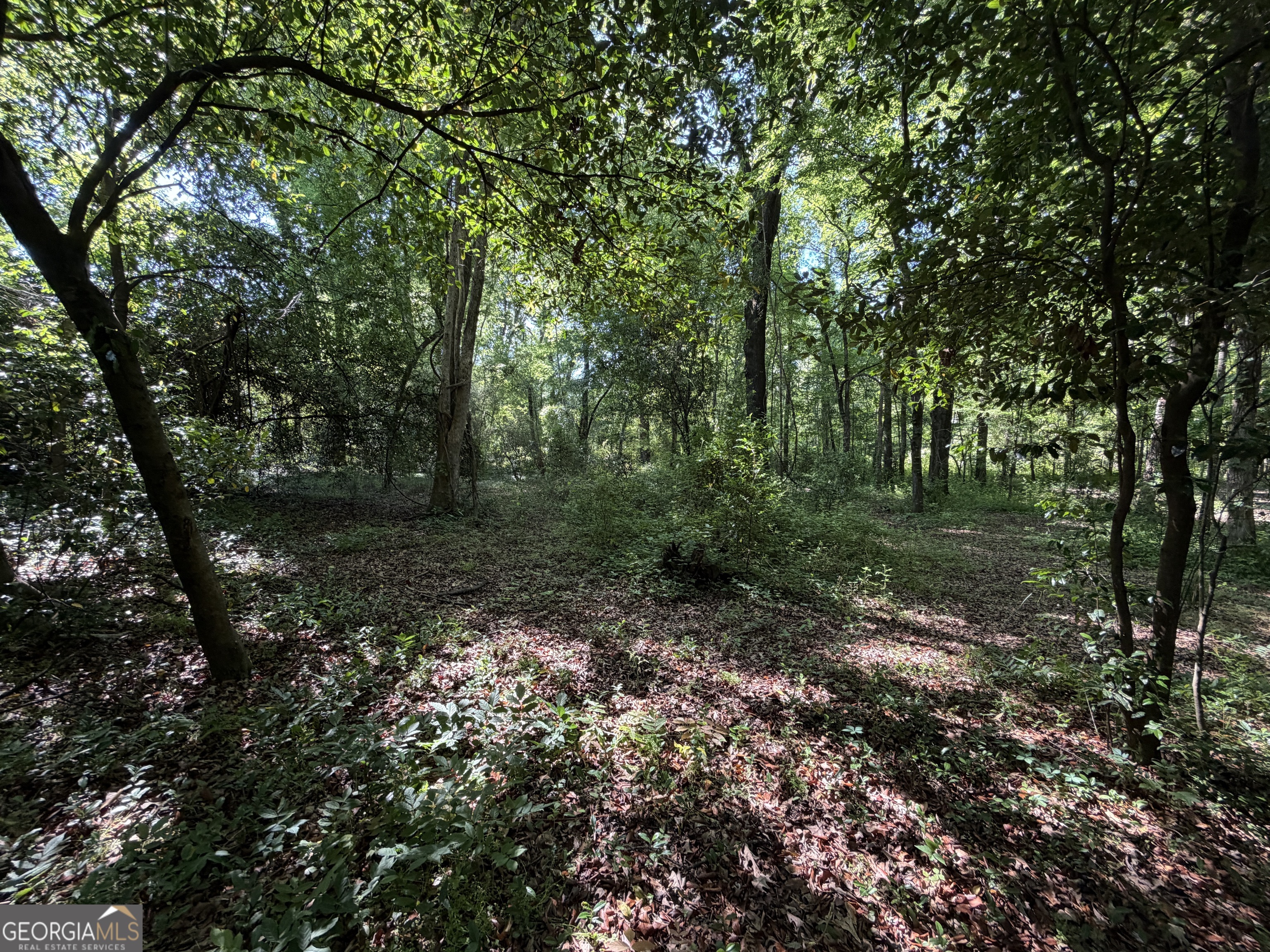 1.49 Acres Ann Drive Lizella GA 31052