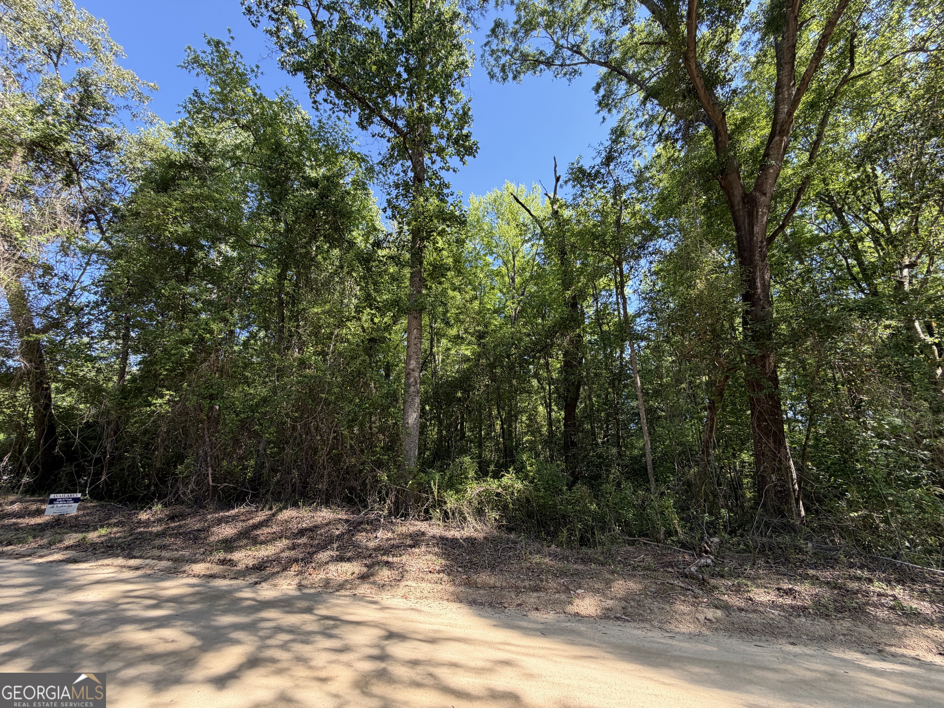 1.49 Acres Ann Drive Lizella GA 31052