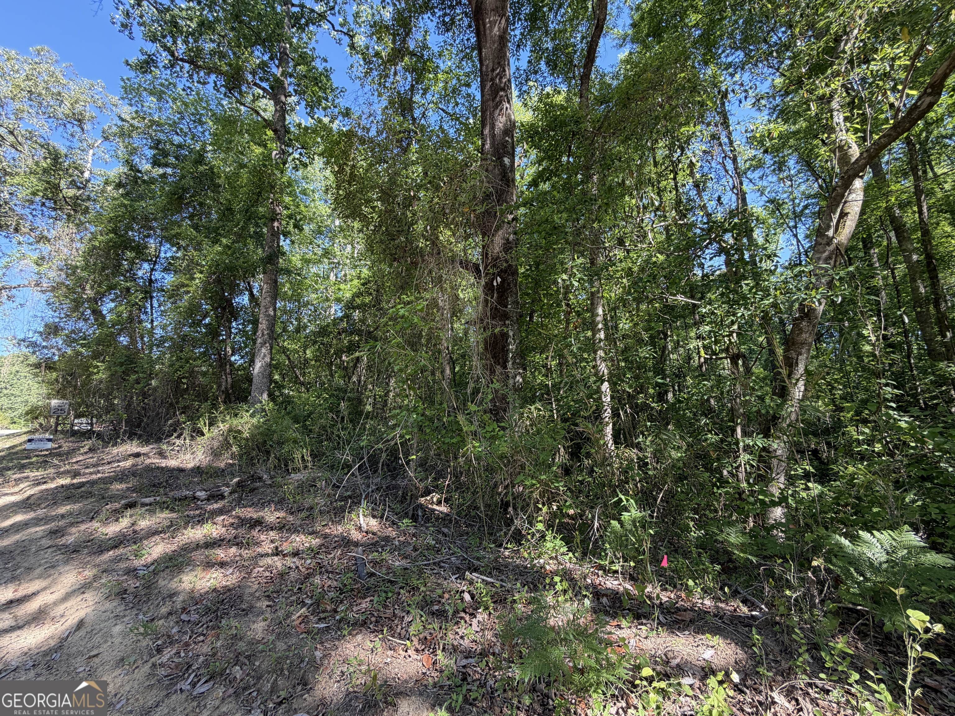 1.49 Acres Ann Drive Lizella GA 31052