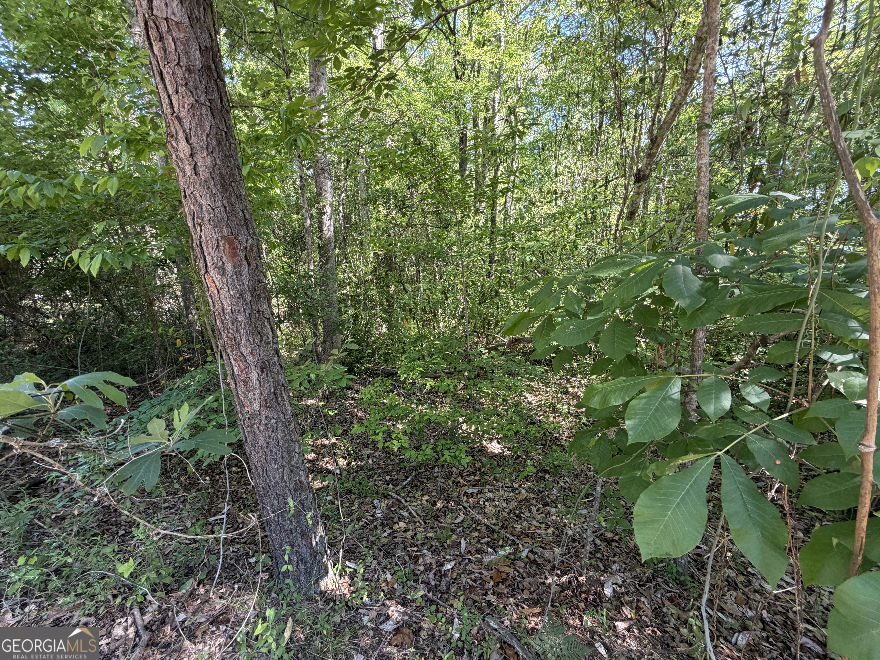 1.49 Acres Ann Drive Lizella GA 31052