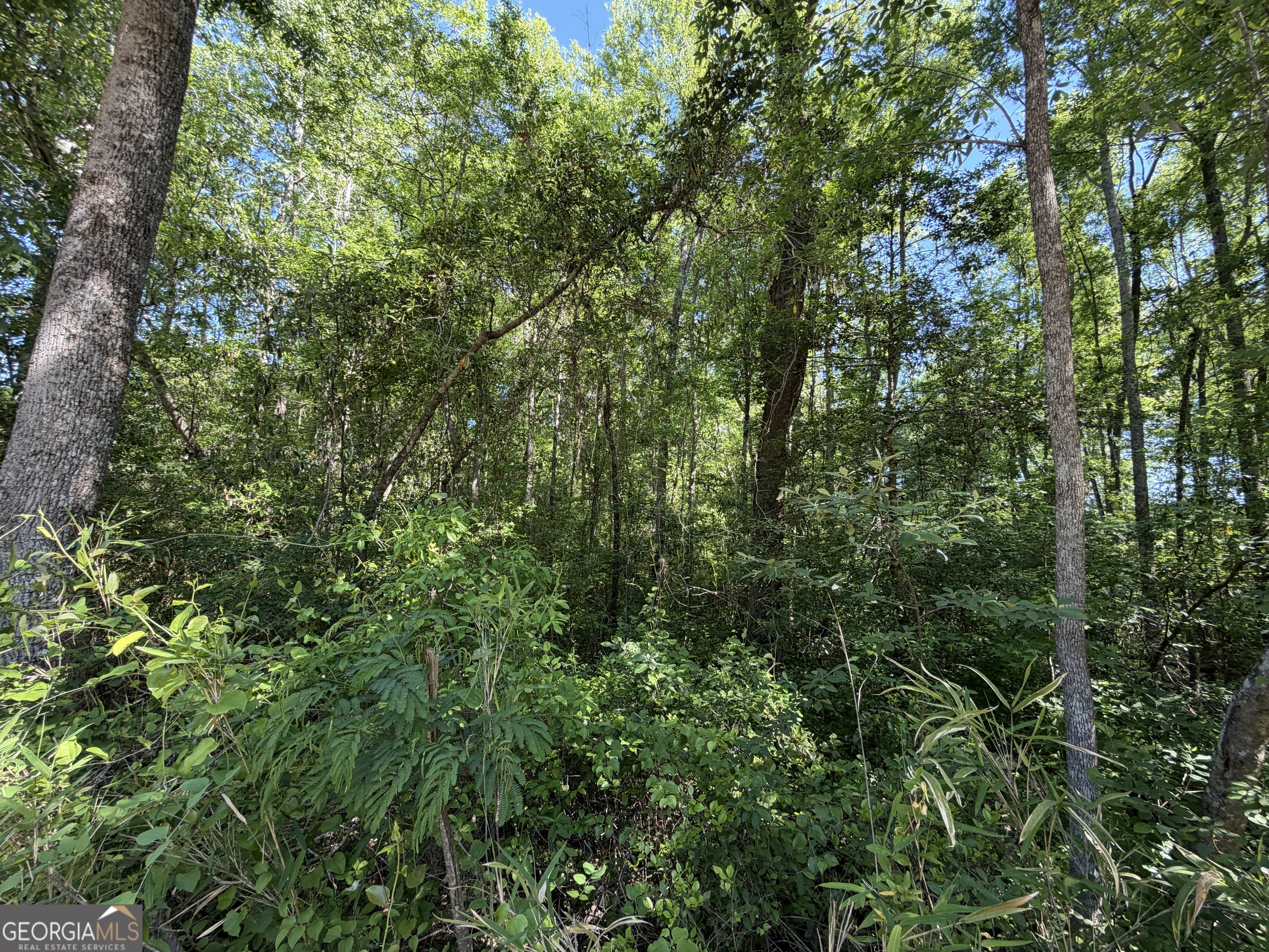 1.49 Acres Ann Drive Lizella GA 31052
