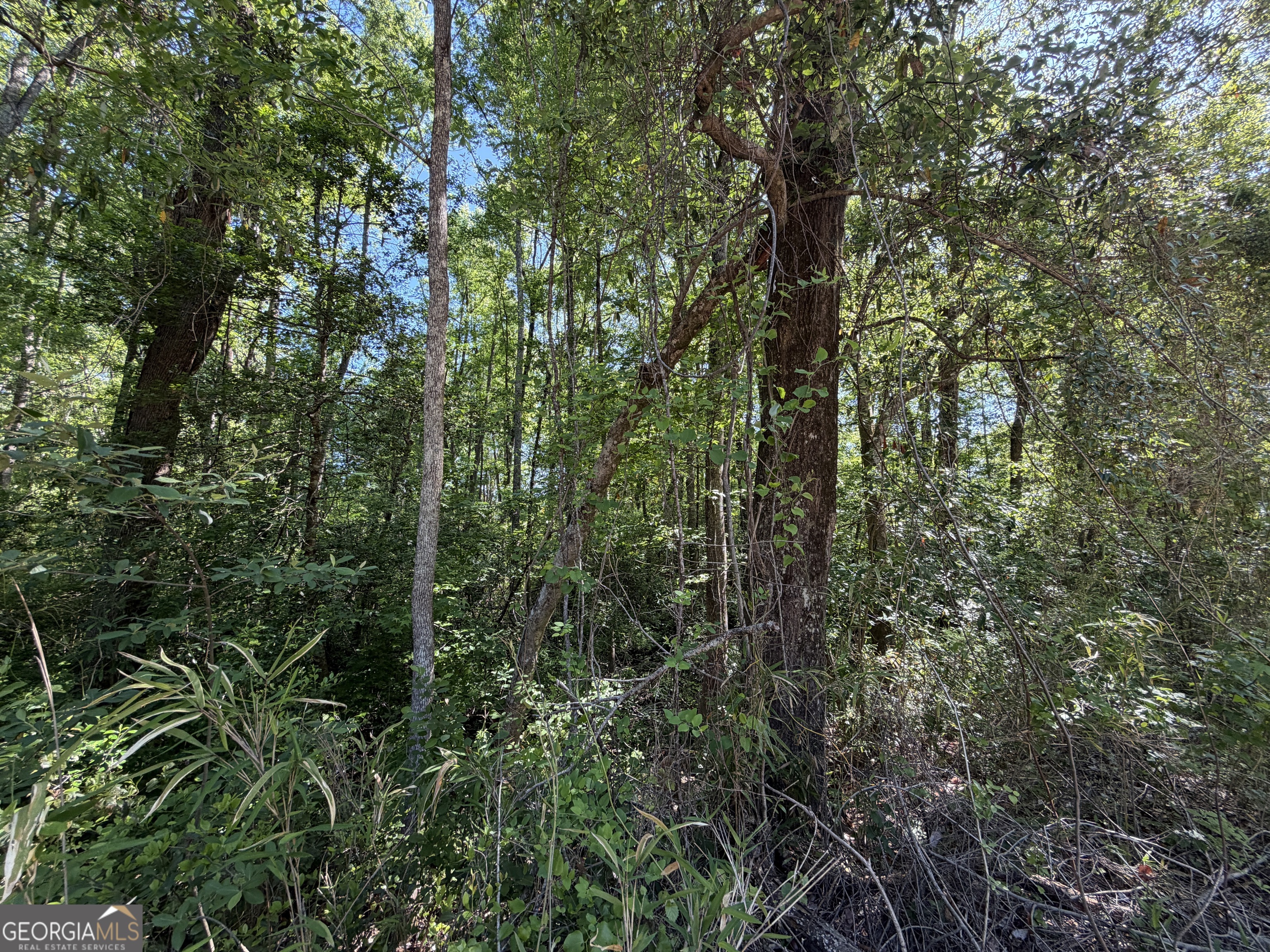 1.49 Acres Ann Drive Lizella GA 31052