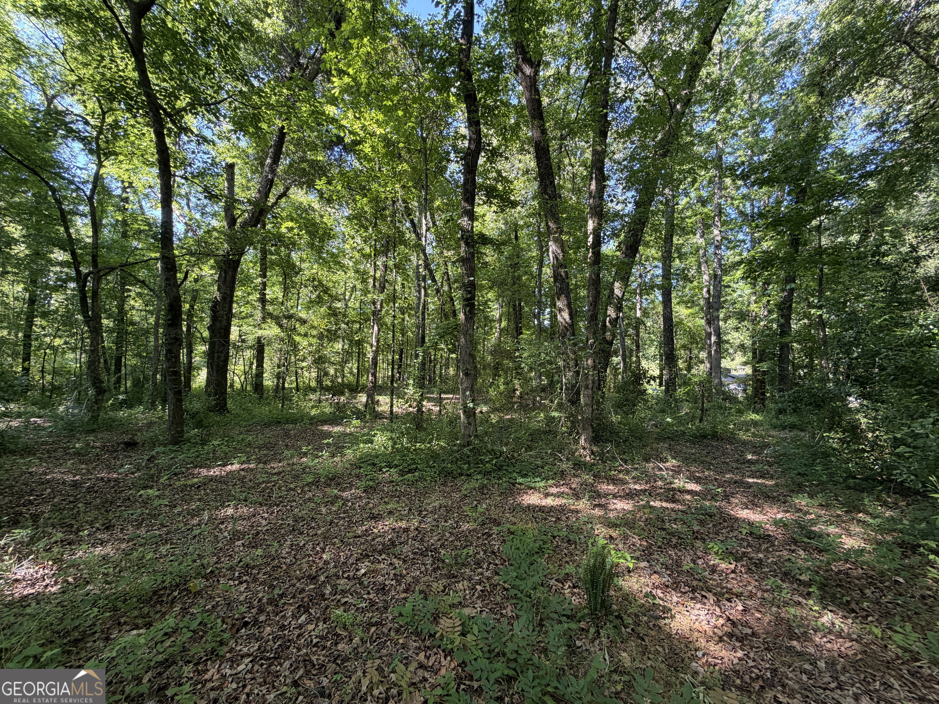 1.49 Acres Ann Drive Lizella GA 31052