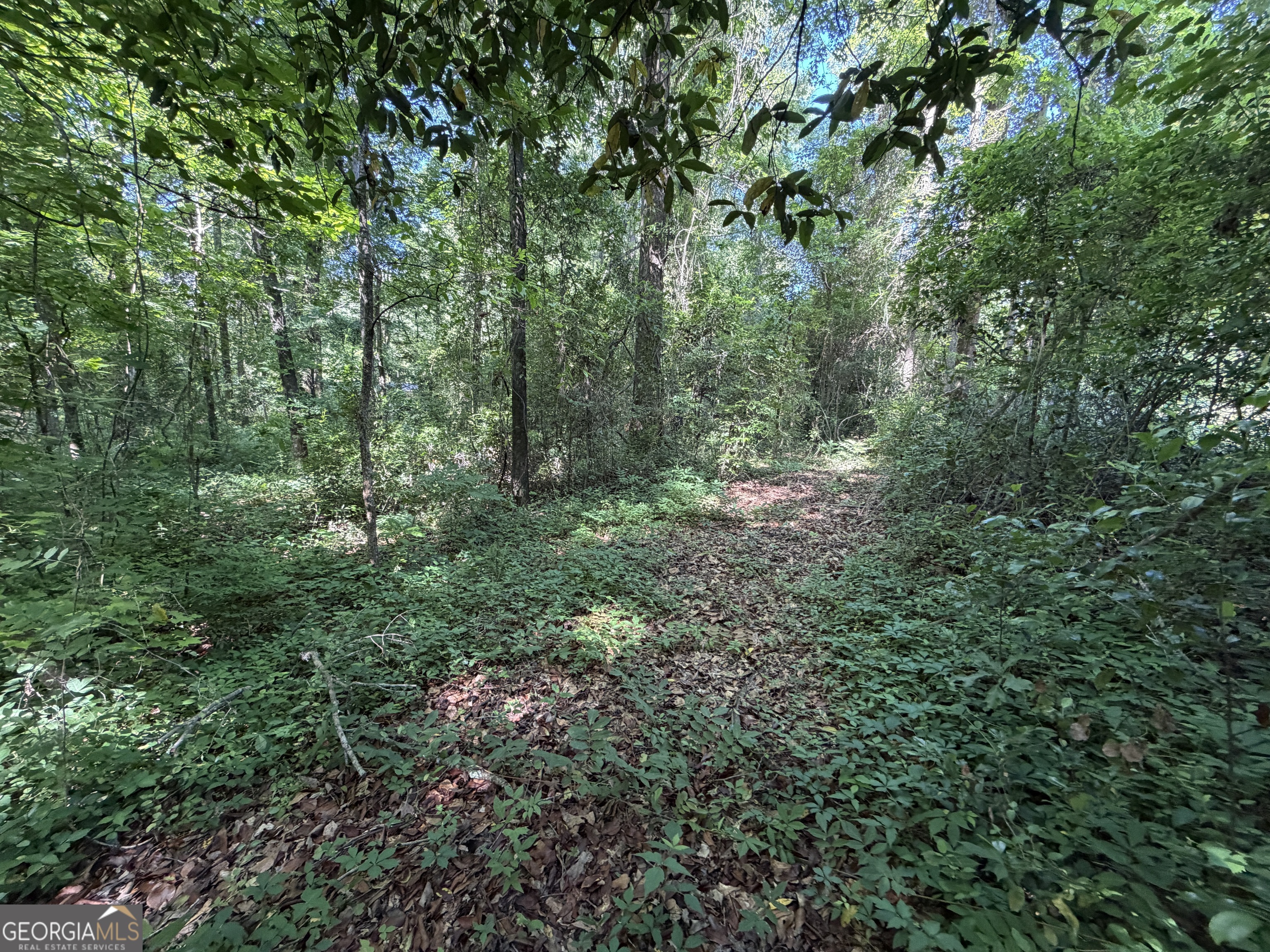 1.49 Acres Ann Drive Lizella GA 31052