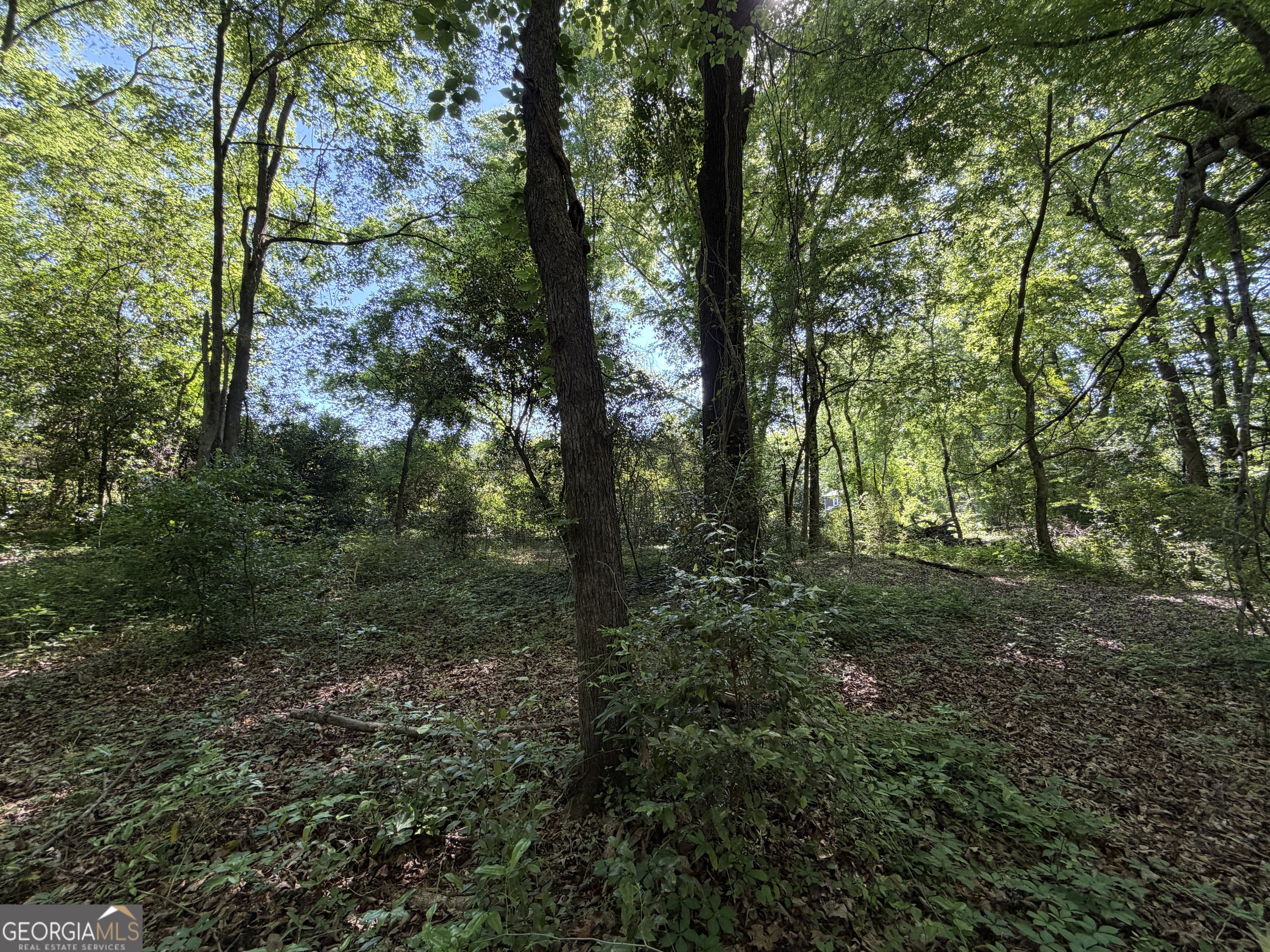 1.49 Acres Ann Drive Lizella GA 31052