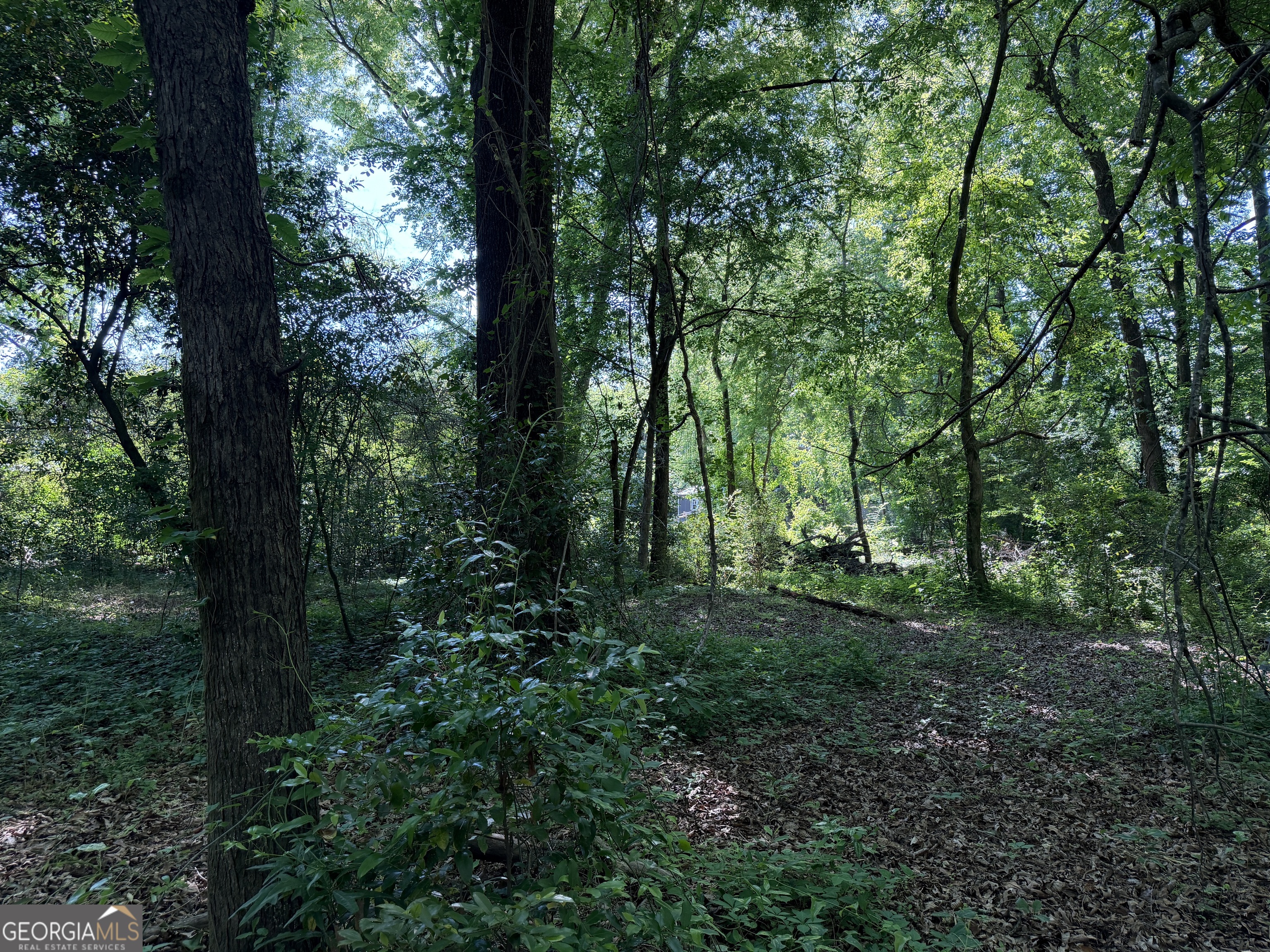 1.49 Acres Ann Drive Lizella GA 31052