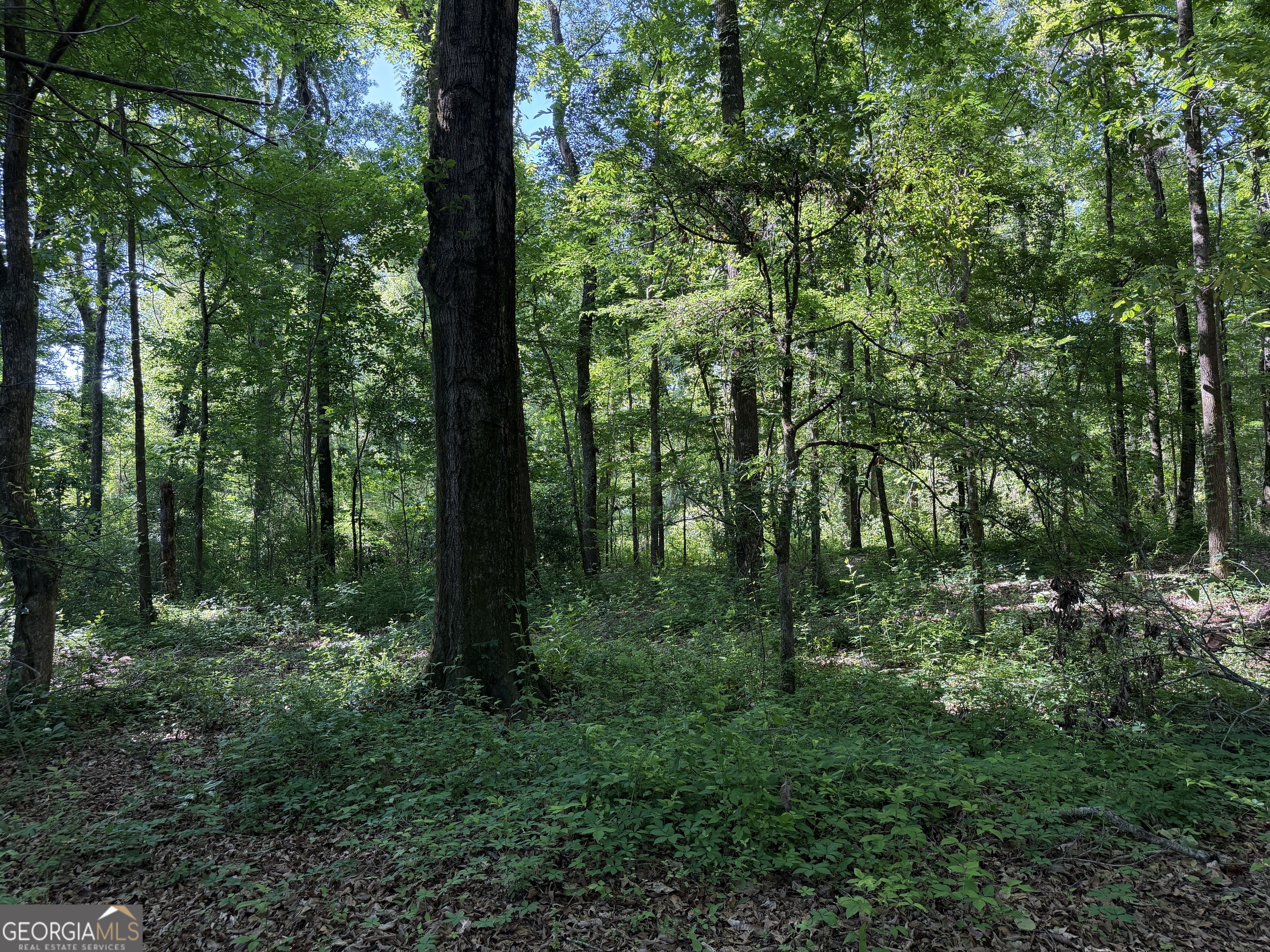 1.49 Acres Ann Drive Lizella GA 31052