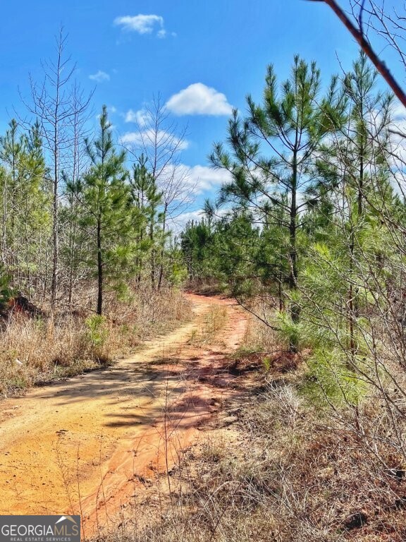 0 Brinkley Road Barnesville GA 30204