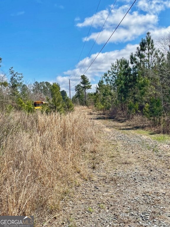 0 Brinkley Road Barnesville GA 30204