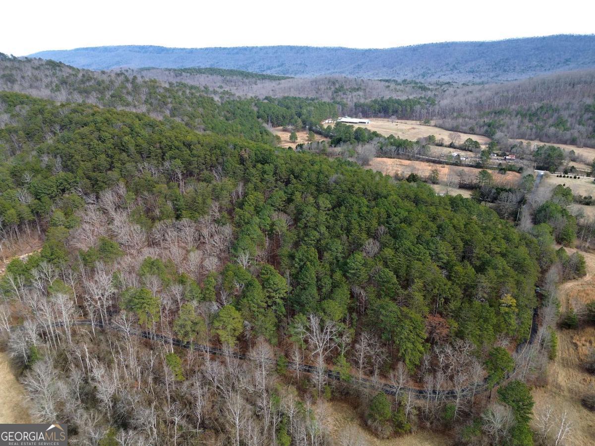 0 Manning Mill Road Summerville GA 30747