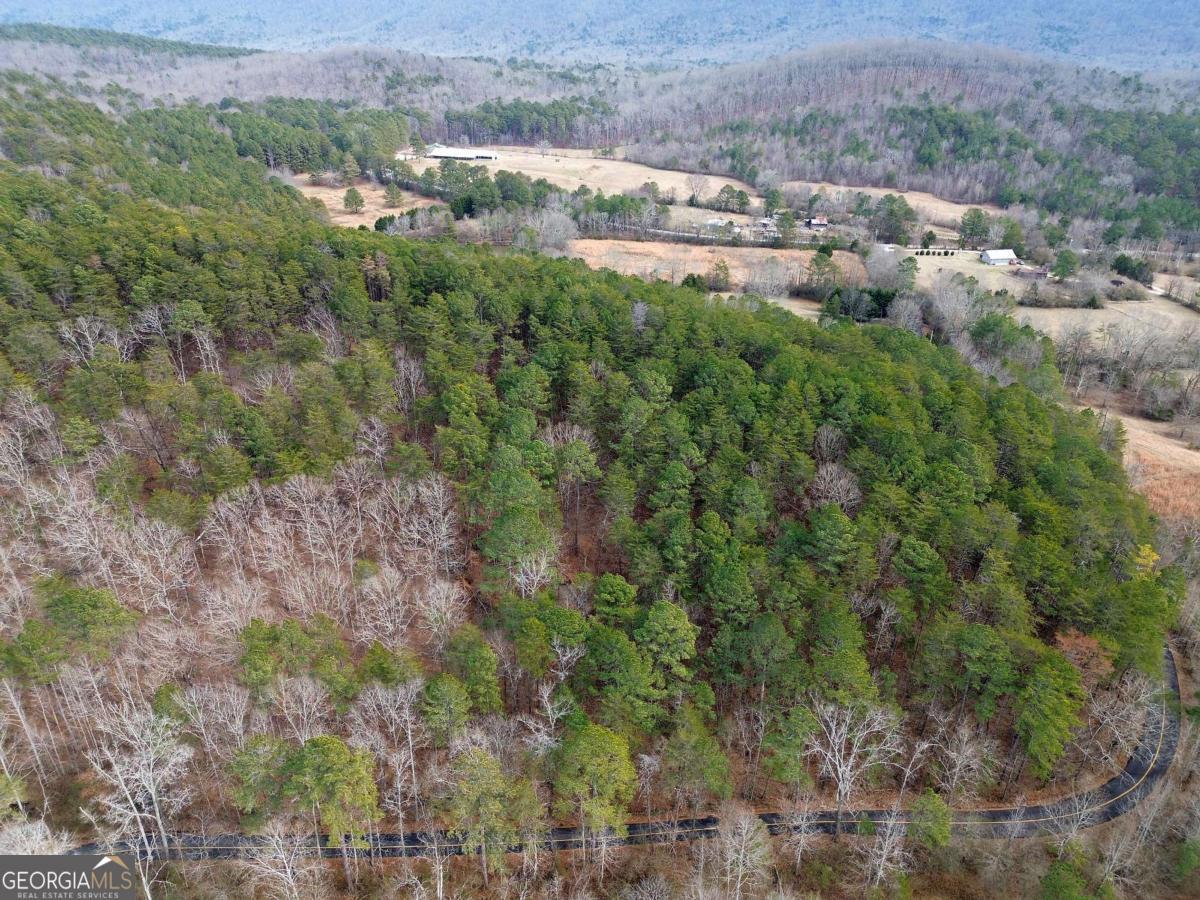 0 Manning Mill Road Summerville GA 30747