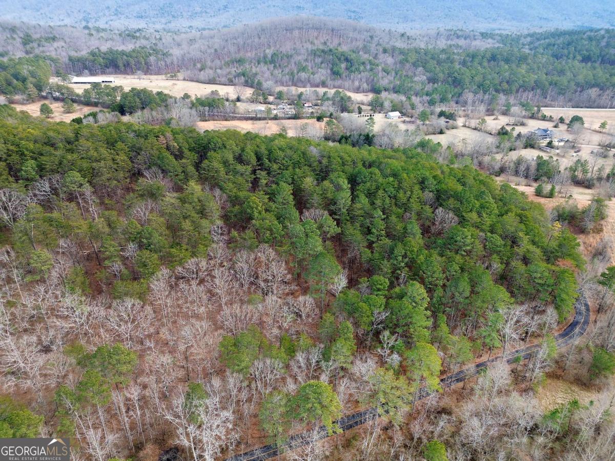 0 Manning Mill Road Summerville GA 30747