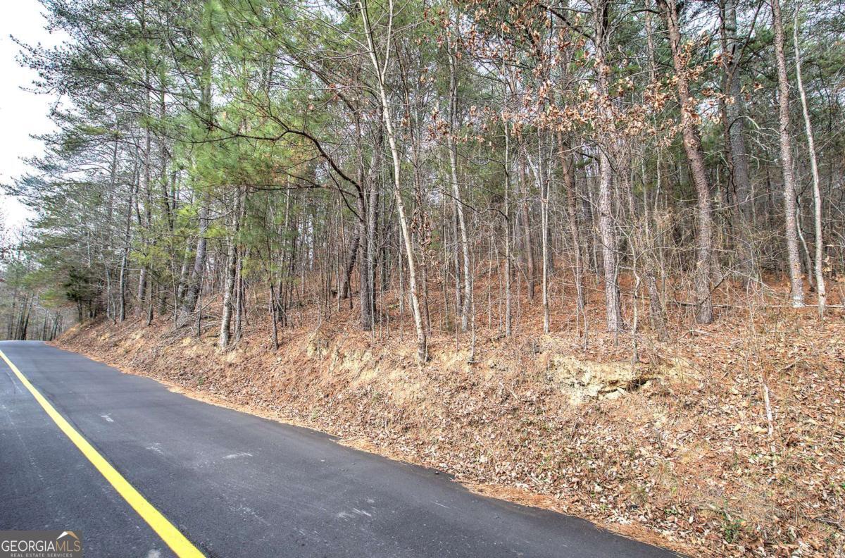 0 Manning Mill Road Summerville GA 30747