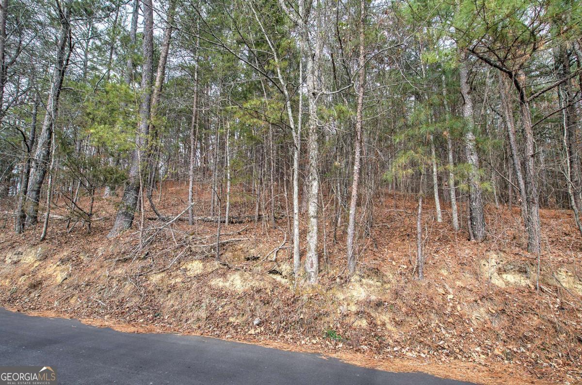 0 Manning Mill Road Summerville GA 30747