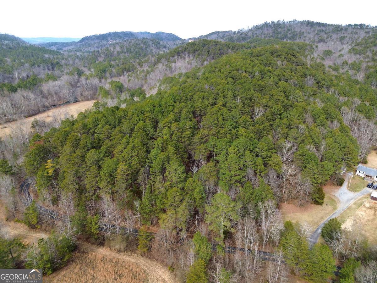 0 Manning Mill Road Summerville GA 30747