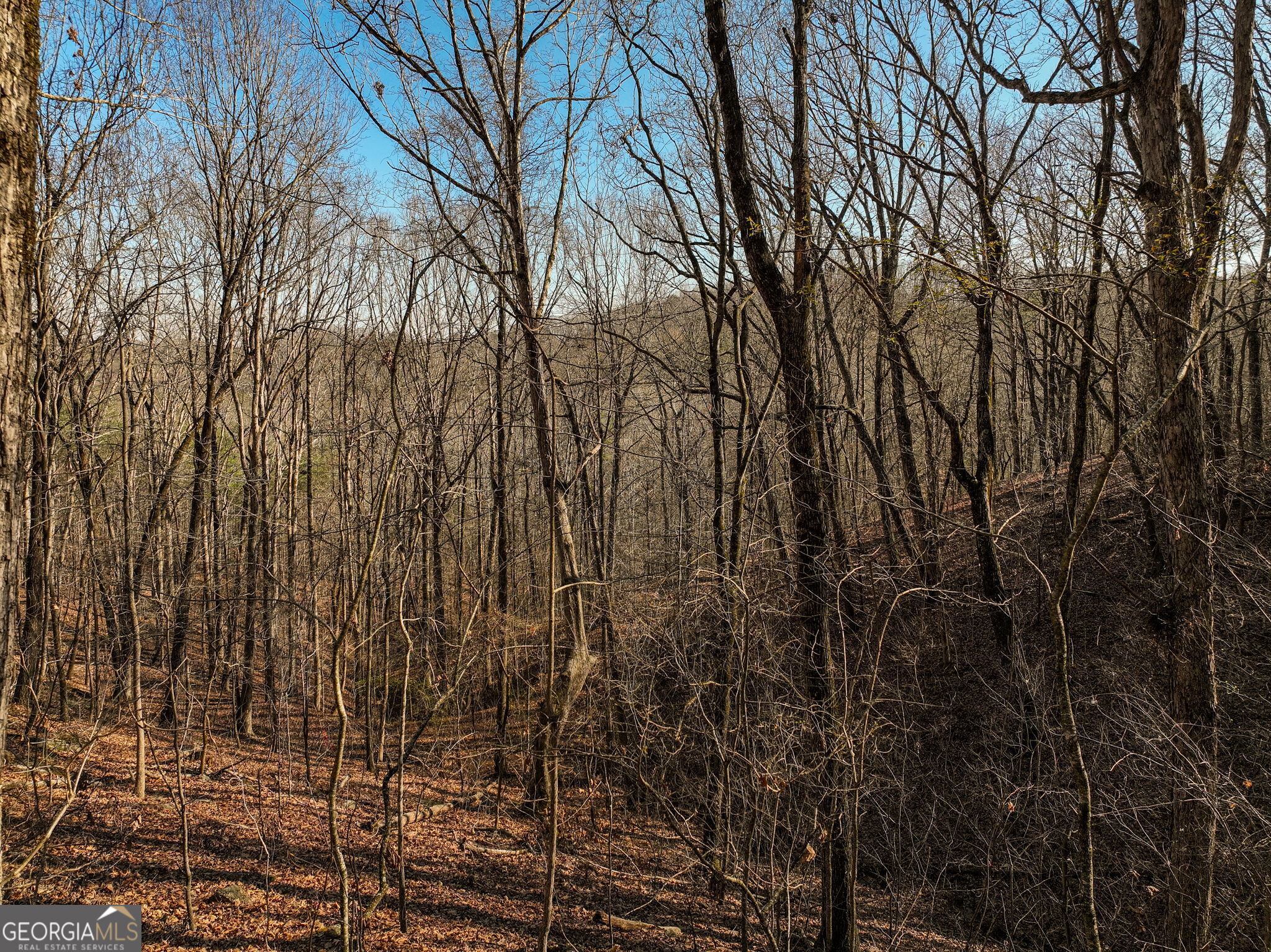 Lot 10 Mount Mincie Road Murrayville GA 30564