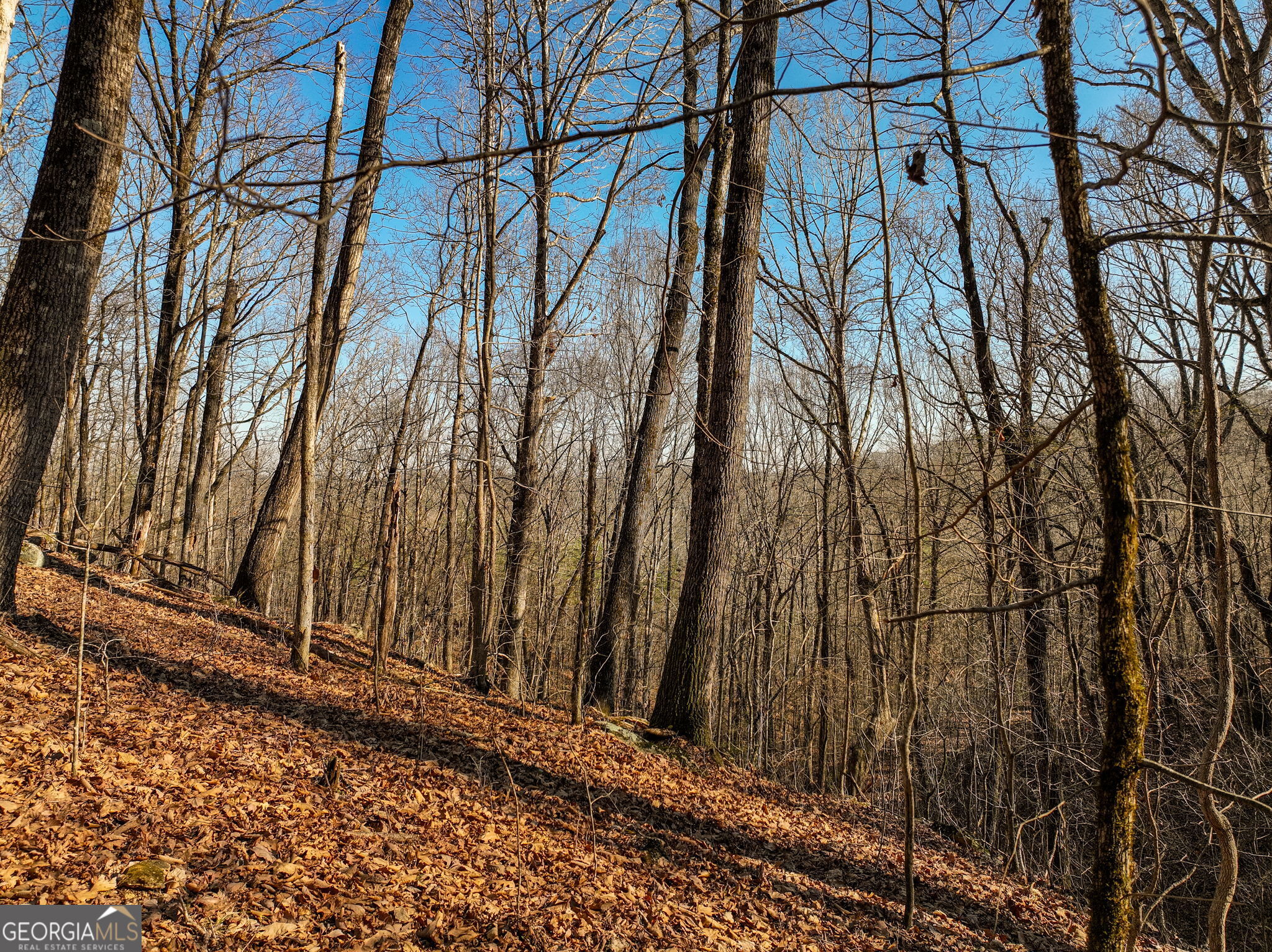 Lot 10 Mount Mincie Road Murrayville GA 30564