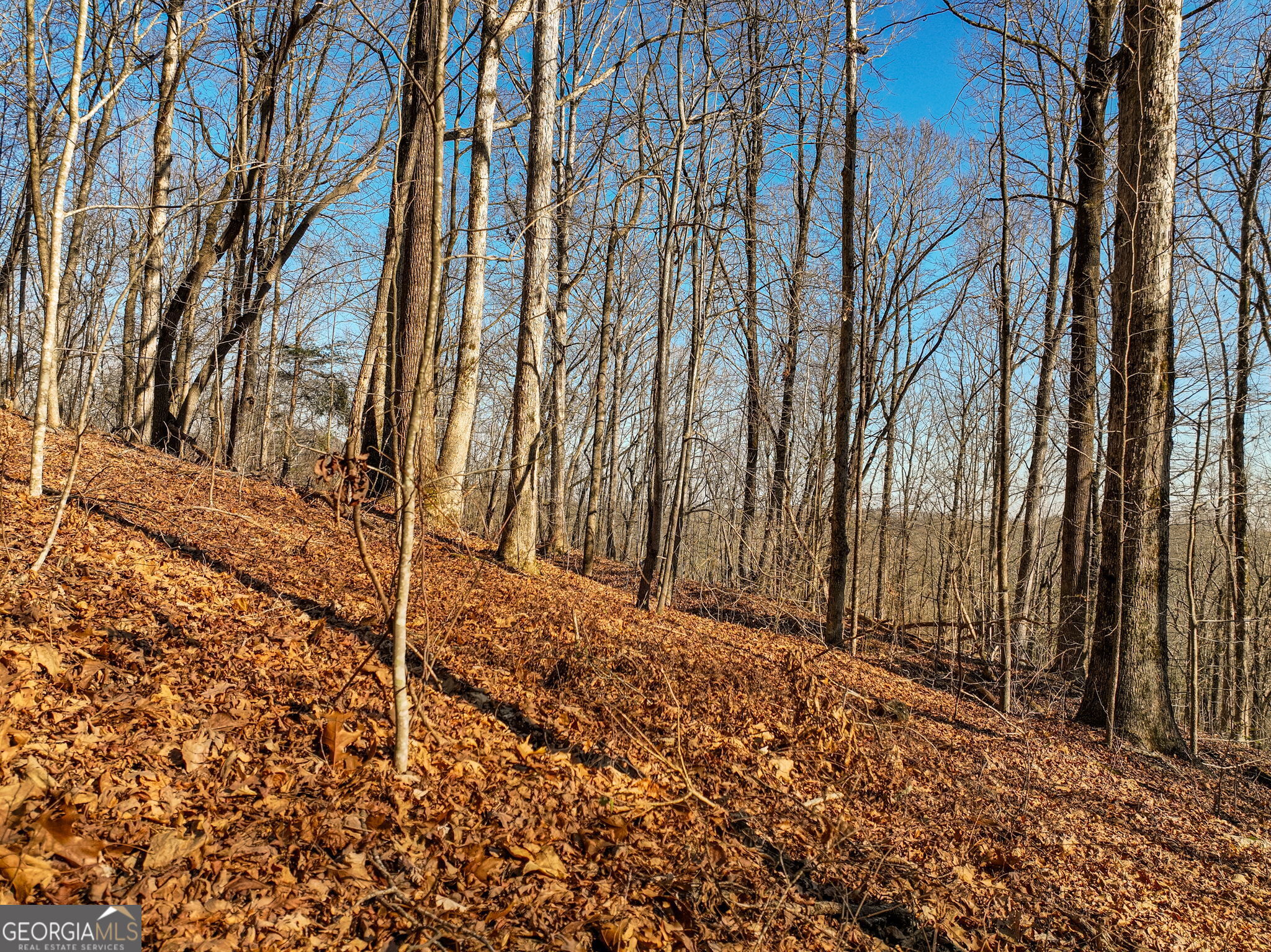 Lot 10 Mount Mincie Road Murrayville GA 30564
