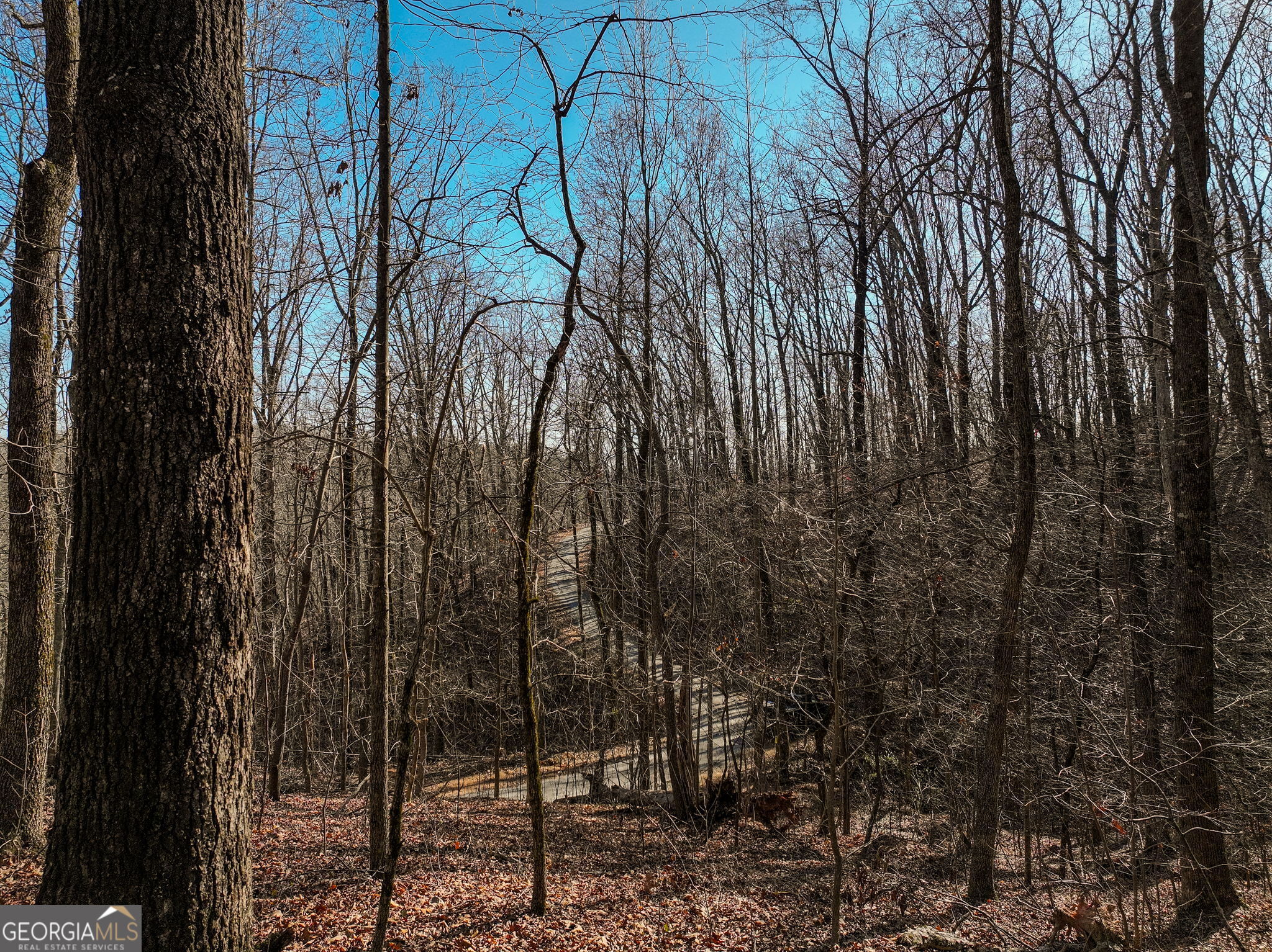 Lot 10 Mount Mincie Road Murrayville GA 30564