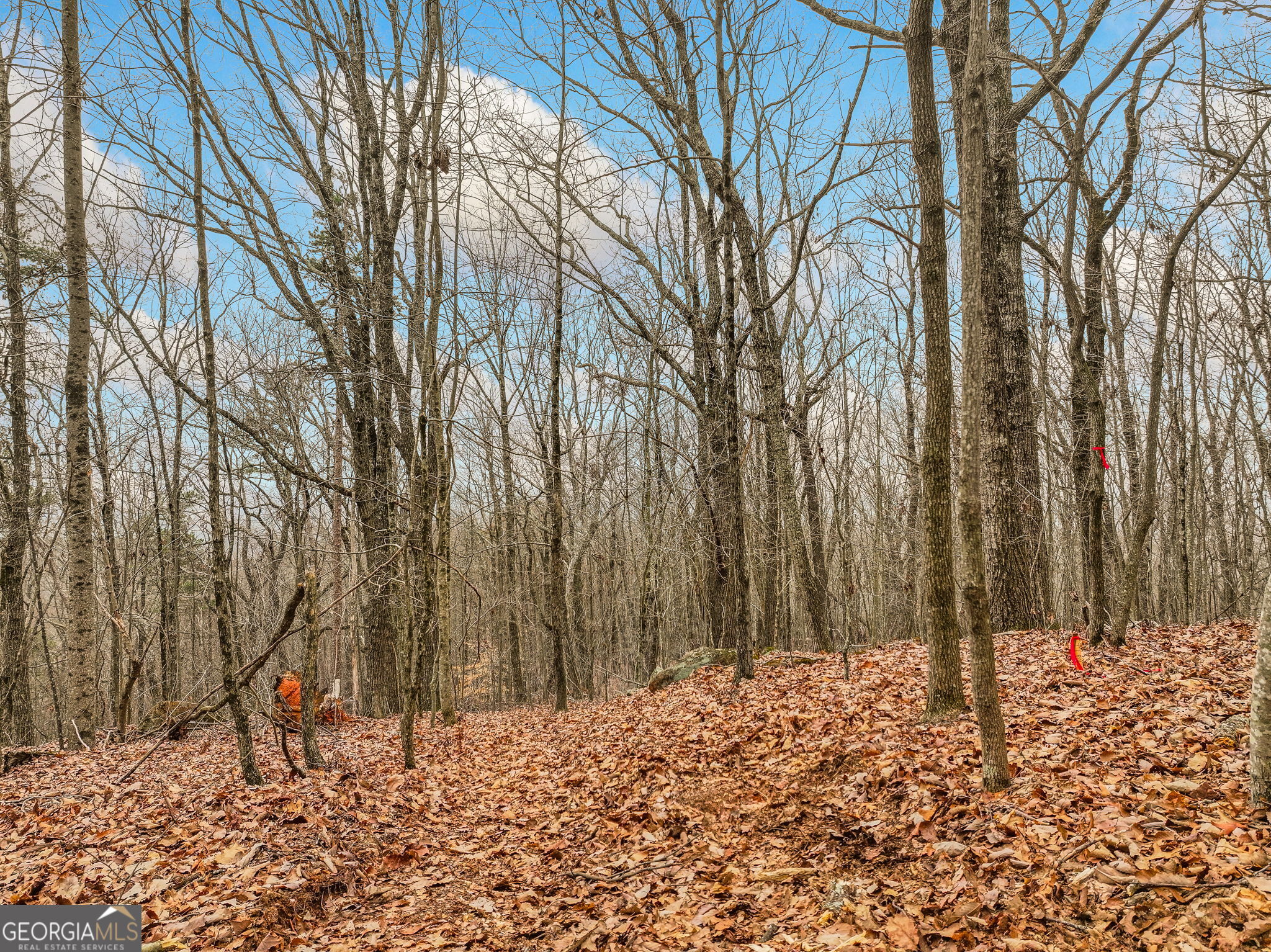 Lot 10 Mount Mincie Road Murrayville GA 30564