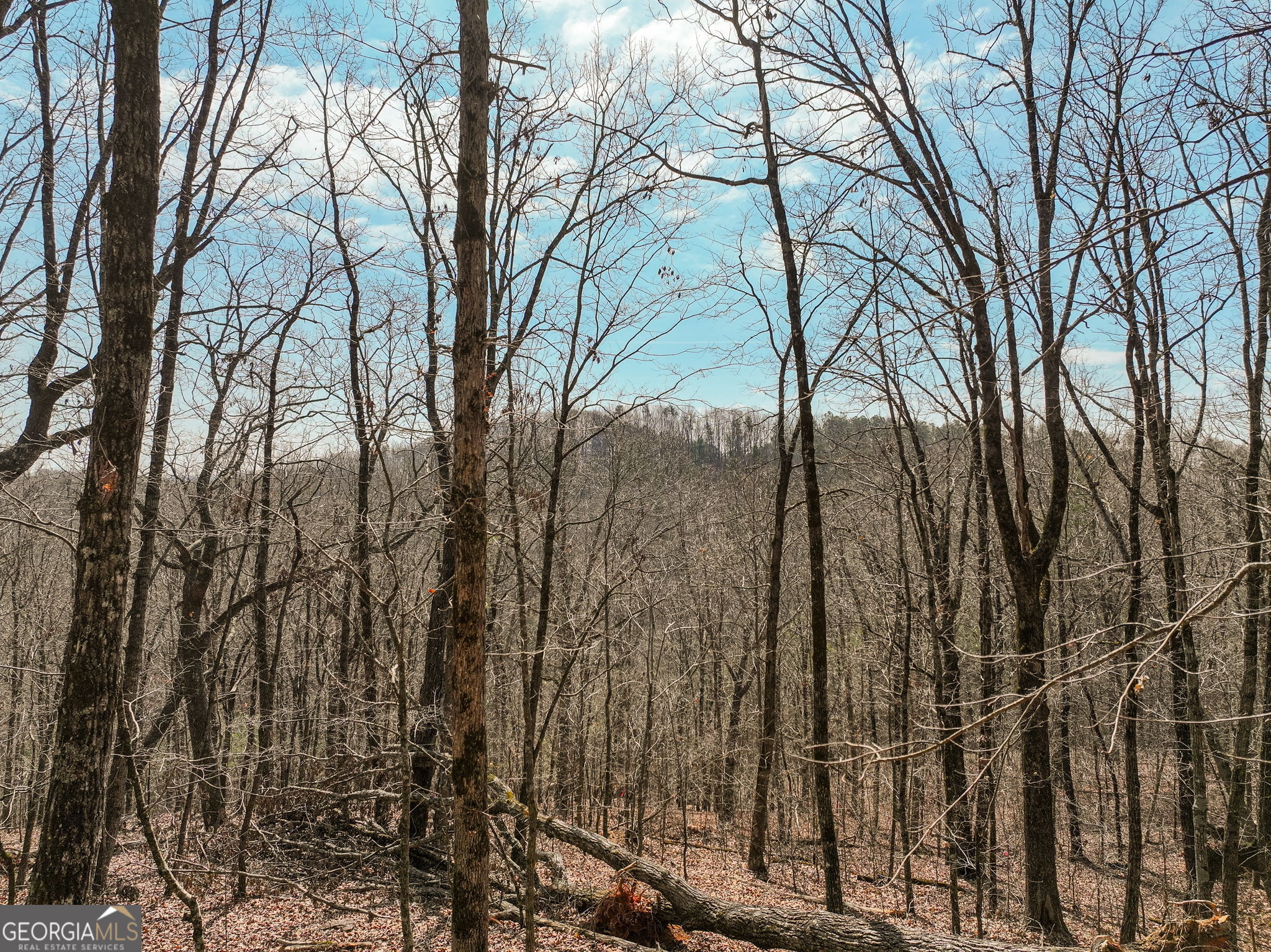 Lot 10 Mount Mincie Road Murrayville GA 30564