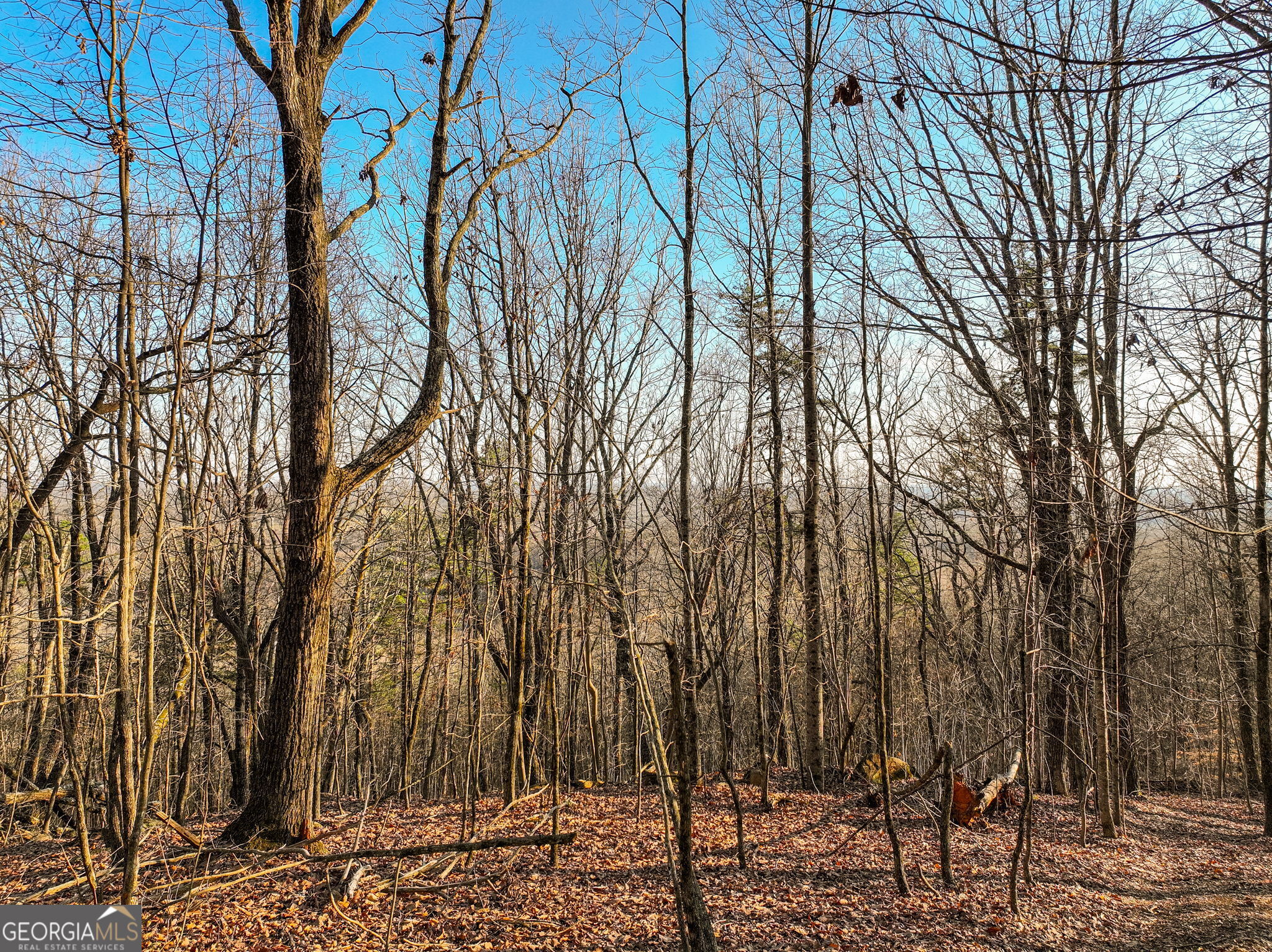 Lot 10 Mount Mincie Road Murrayville GA 30564